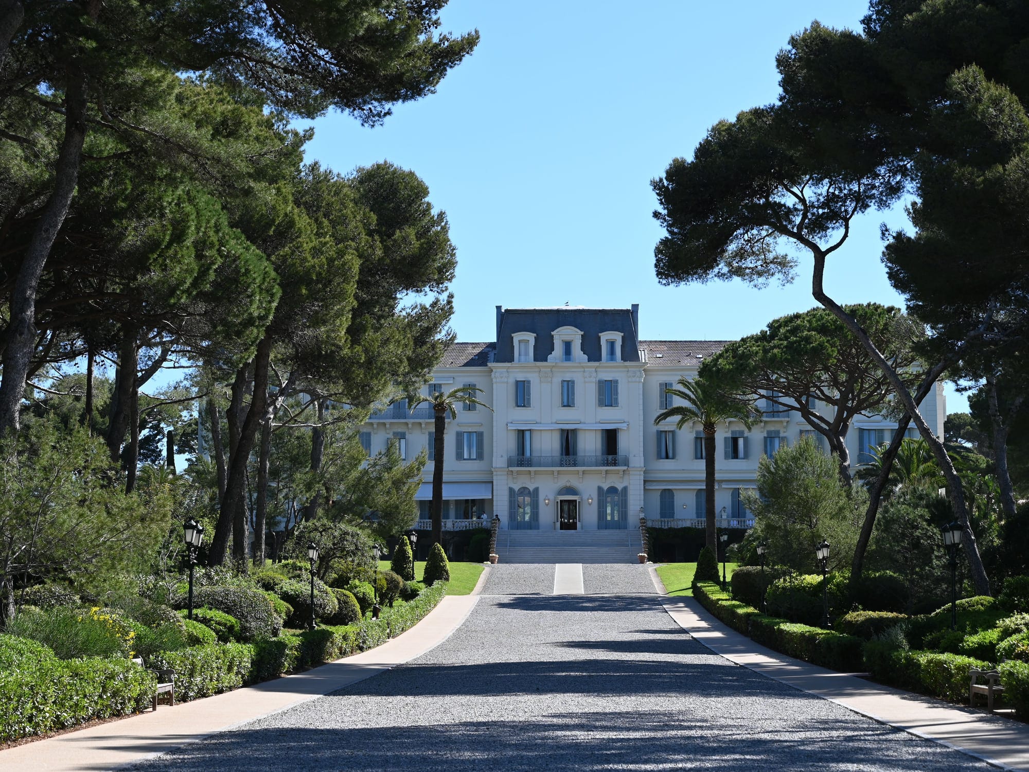 The drive of a grand hotel under umbrella pines